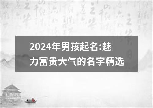 2024年男孩起名:魅力富贵大气的名字精选