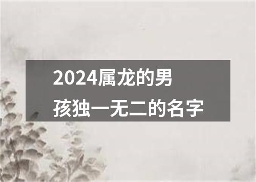 2024属龙的男孩独一无二的名字