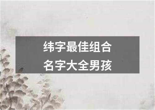 纬字最佳组合名字大全男孩