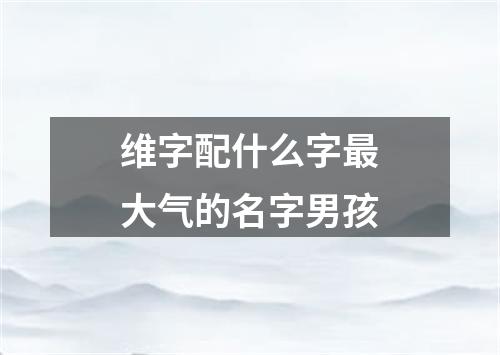 维字配什么字最大气的名字男孩