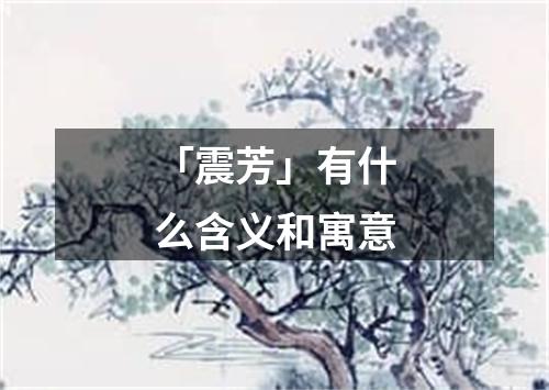 「震芳」有什么含义和寓意