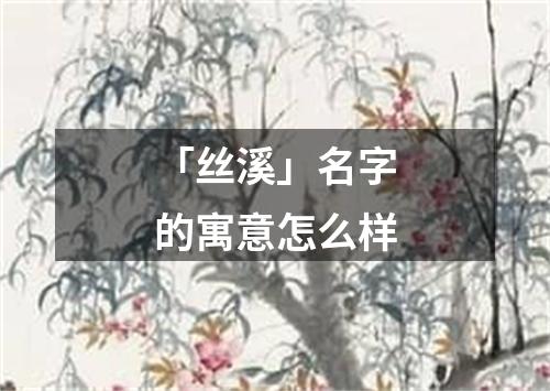 「丝溪」名字的寓意怎么样