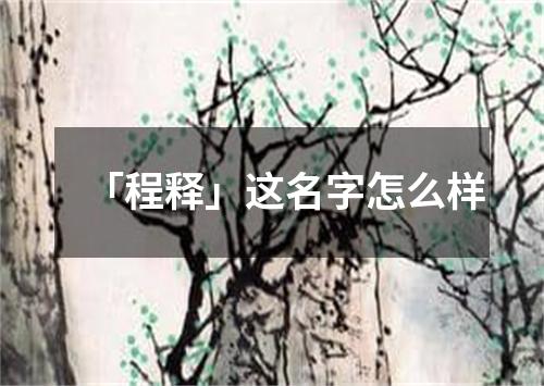 「程释」这名字怎么样