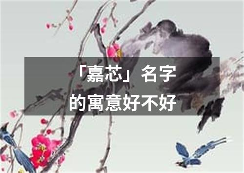 「嘉芯」名字的寓意好不好