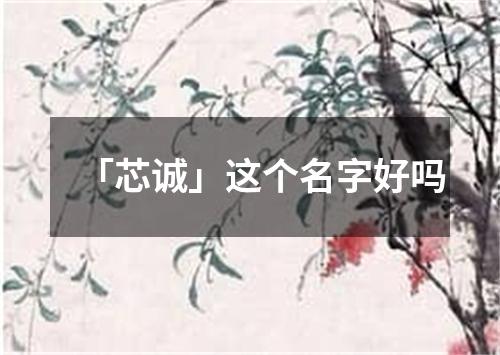 「芯诚」这个名字好吗