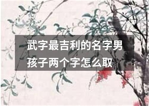 武字最吉利的名字男孩子两个字怎么取