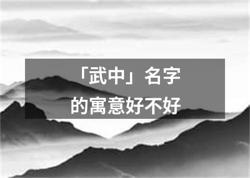 「武中」名字的寓意好不好