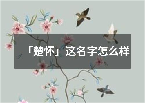 「楚怀」这名字怎么样