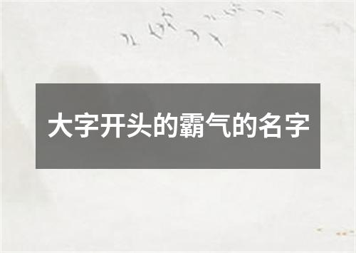 大字开头的霸气的名字