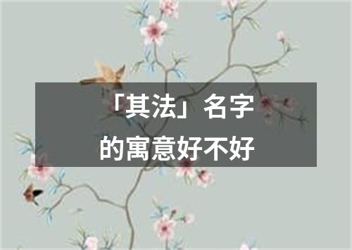 「其法」名字的寓意好不好