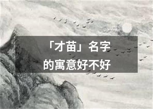 「才苗」名字的寓意好不好