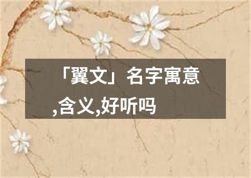 「翼文」名字寓意,含义,好听吗