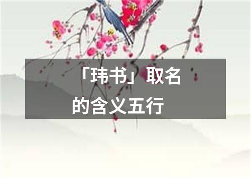 「玮书」取名的含义五行