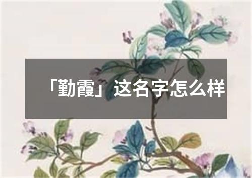 「勤霞」这名字怎么样