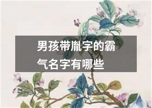 男孩带胤字的霸气名字有哪些