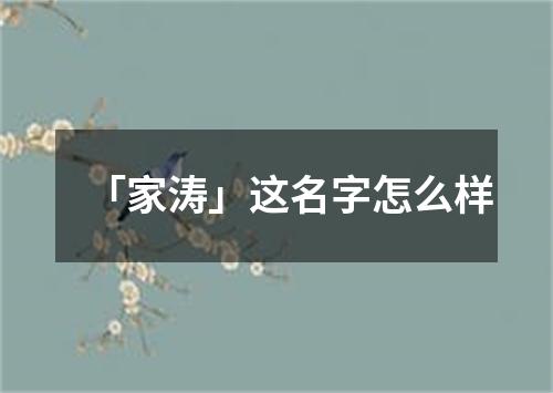 「家涛」这名字怎么样