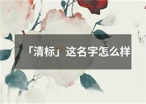 「清标」这名字怎么样