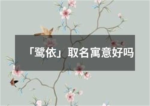 「鹭依」取名寓意好吗