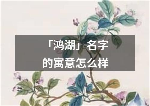 「鸿湖」名字的寓意怎么样