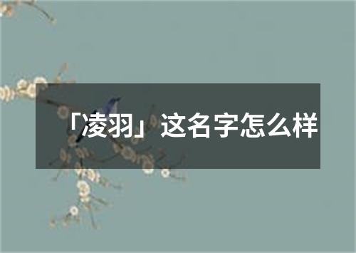 「凌羽」这名字怎么样