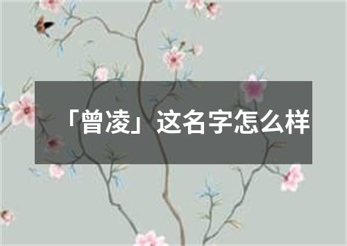 「曾凌」这名字怎么样