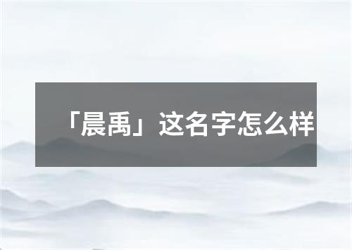 「晨禹」这名字怎么样