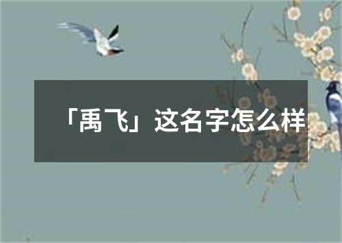 「禹飞」这名字怎么样