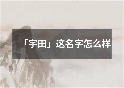 「宇田」这名字怎么样