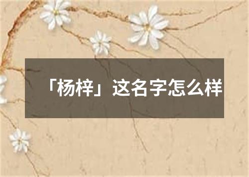 「杨梓」这名字怎么样