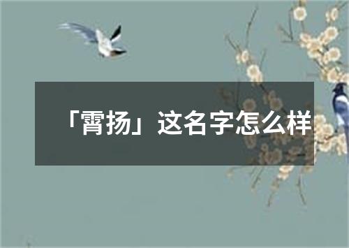 「霄扬」这名字怎么样