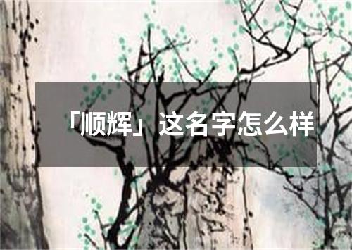 「顺辉」这名字怎么样