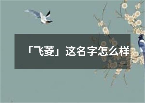 「飞菱」这名字怎么样