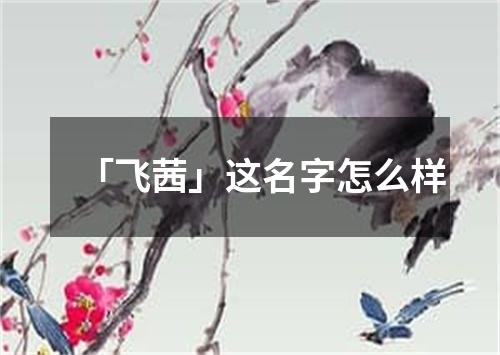 「飞茜」这名字怎么样