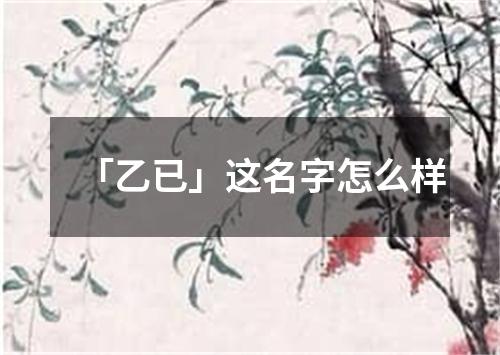 「乙已」这名字怎么样