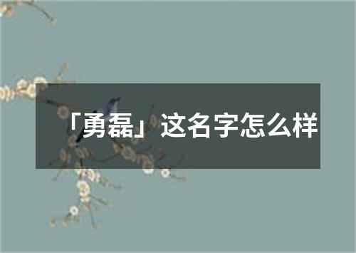 「勇磊」这名字怎么样