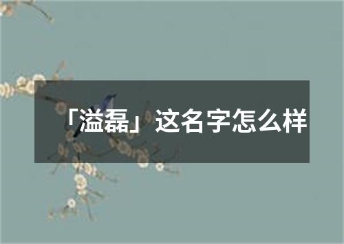 「溢磊」这名字怎么样