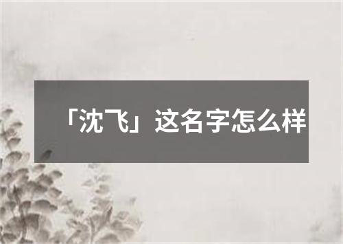 「沈飞」这名字怎么样