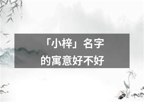 「小梓」名字的寓意好不好