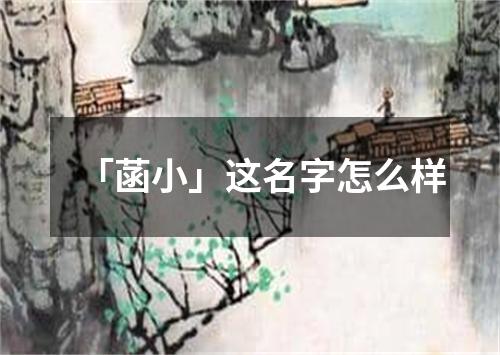 「菡小」这名字怎么样