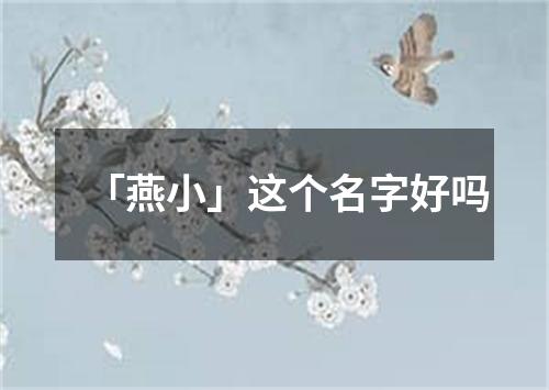 「燕小」这个名字好吗