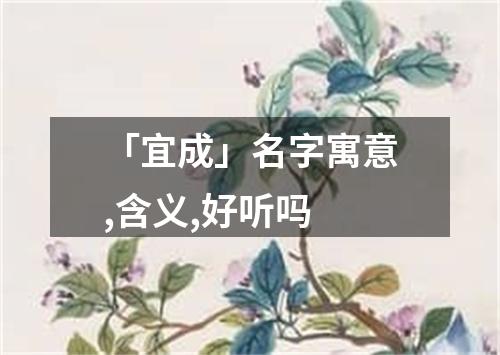 「宜成」名字寓意,含义,好听吗