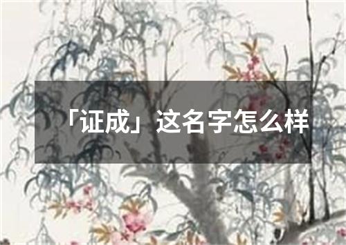 「证成」这名字怎么样