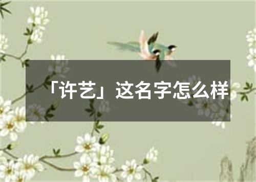 「许艺」这名字怎么样