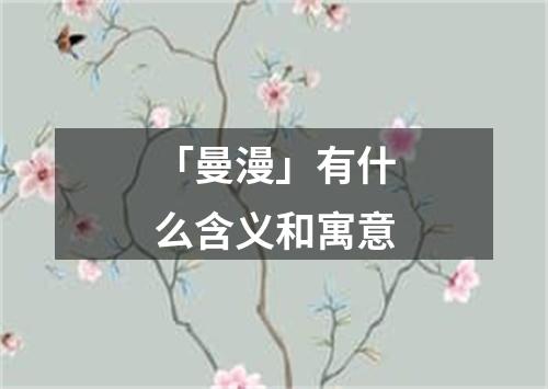 「曼漫」有什么含义和寓意