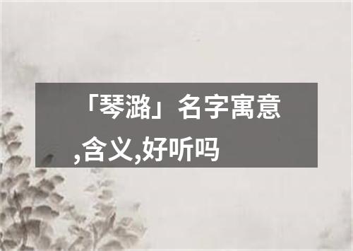 「琴潞」名字寓意,含义,好听吗