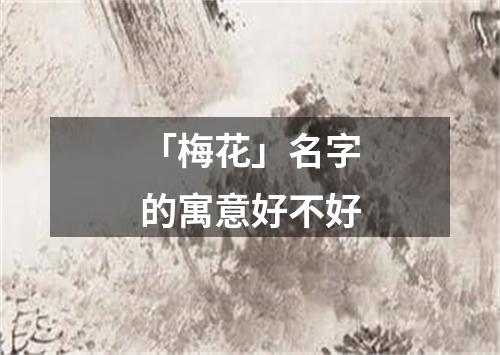 「梅花」名字的寓意好不好