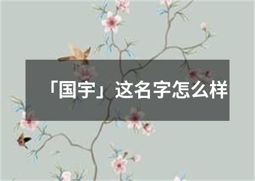 「国宇」这名字怎么样