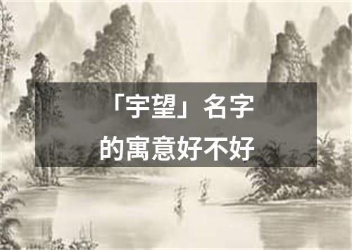 「宇望」名字的寓意好不好