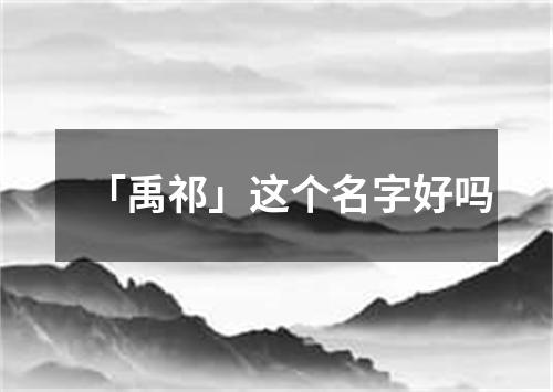 「禹祁」这个名字好吗