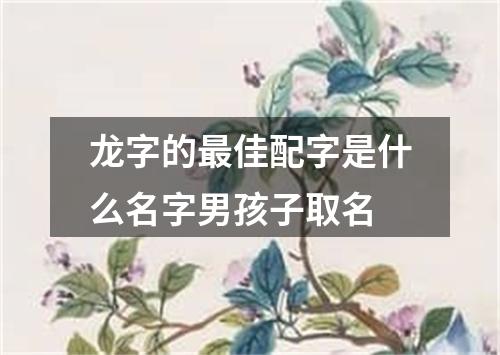 龙字的最佳配字是什么名字男孩子取名